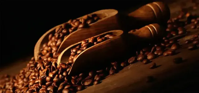 Caramel Colors in India